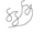 SSFY